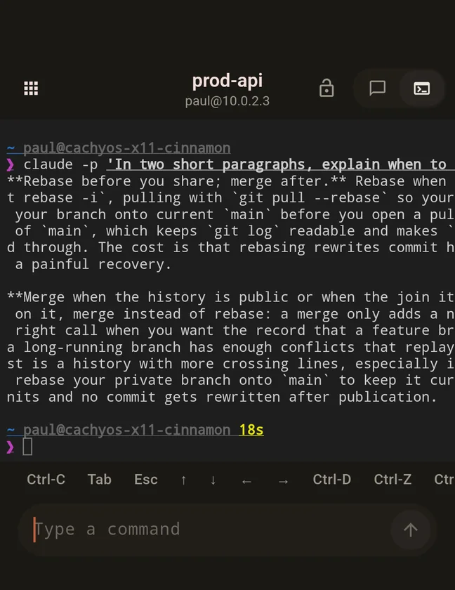 A Claude Code answer crushed into a raw 80-column terminal grid, with lines broken mid-word.