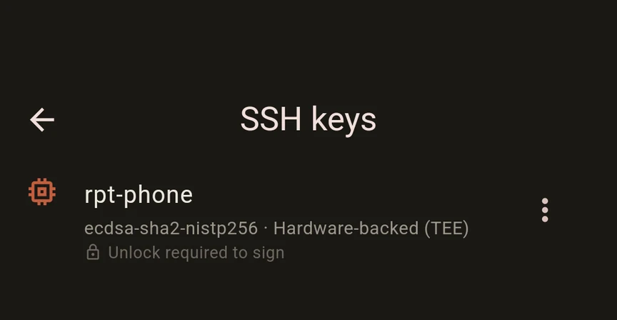 The SSH keys screen showing a hardware-backed ECDSA key labelled Hardware-backed TEE with unlock required to sign.